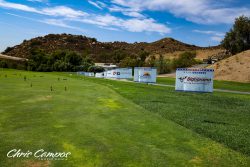 Tee Signs 1